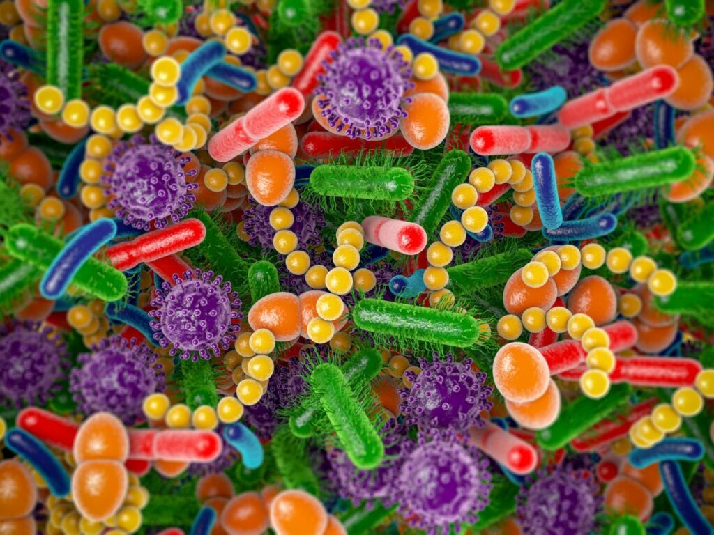 Το μικροβίωμα. Πώς τα βακτήρια κυβερνούν το σώμα μας