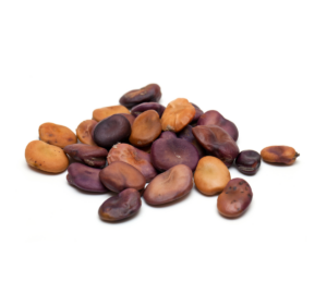 fava beans, vegan recipes, nutrition information