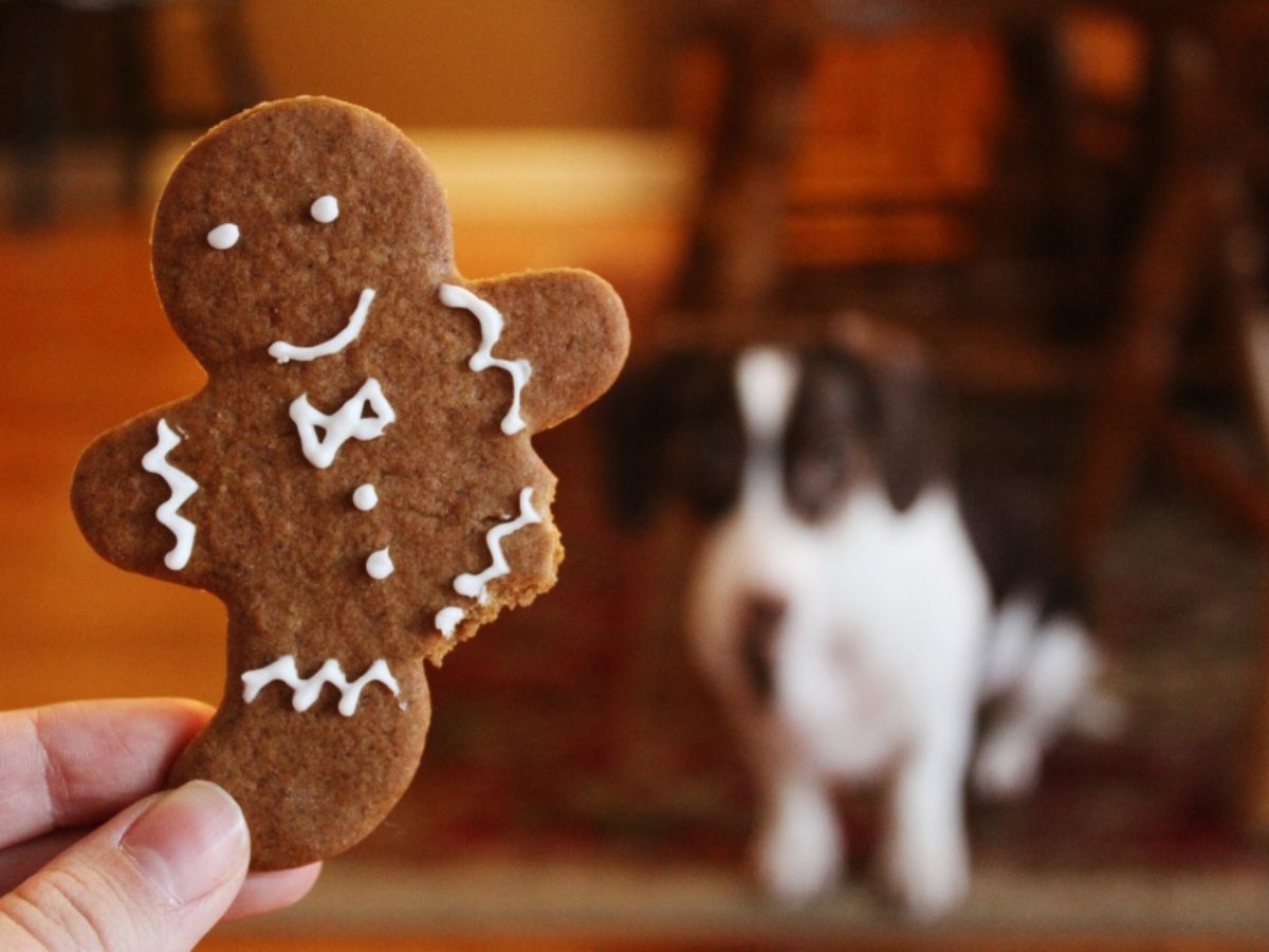 Gingerbread vegan cookies