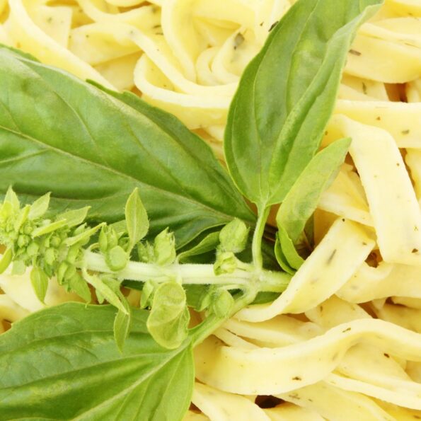 vegan pasta recipe with nuts