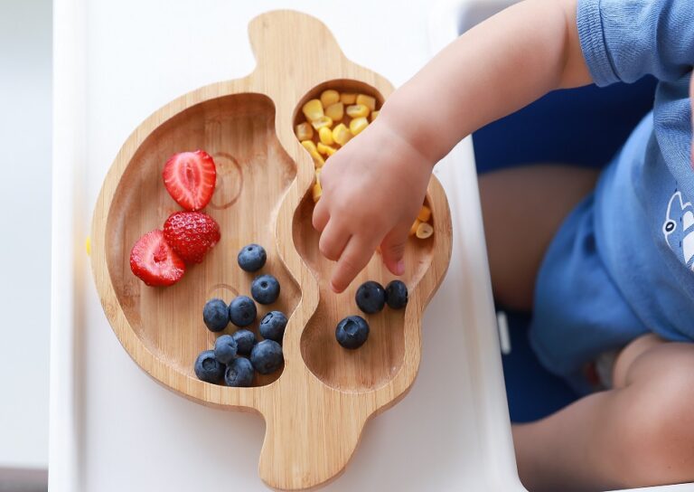 Βρεφική Διατροφή και Baby-Led Weaning – Online Seminar